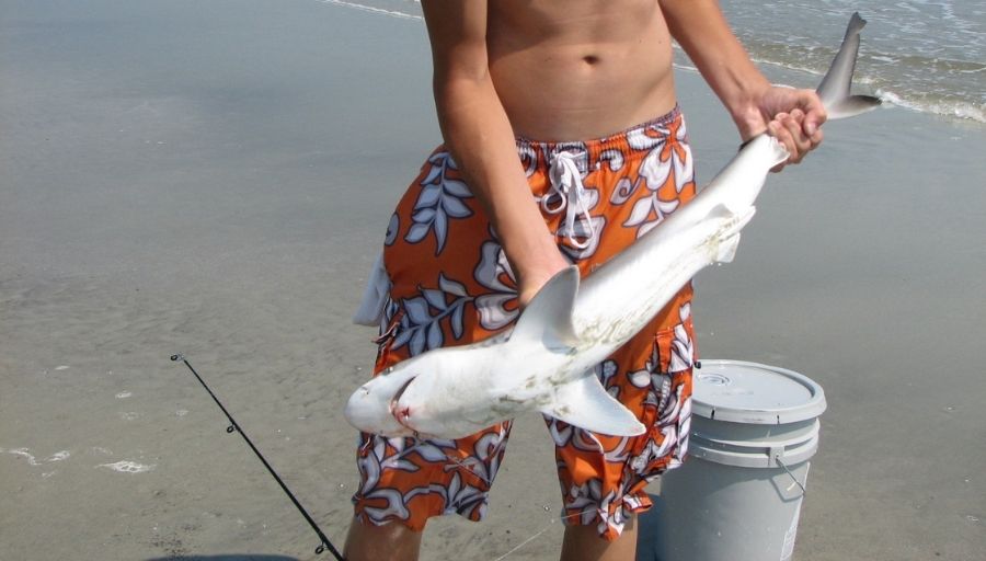 A Shark Fisher/Angler