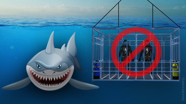 shark cage cancun