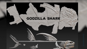 18 Strange and Weird-Looking Sharks - sharksinfo.com