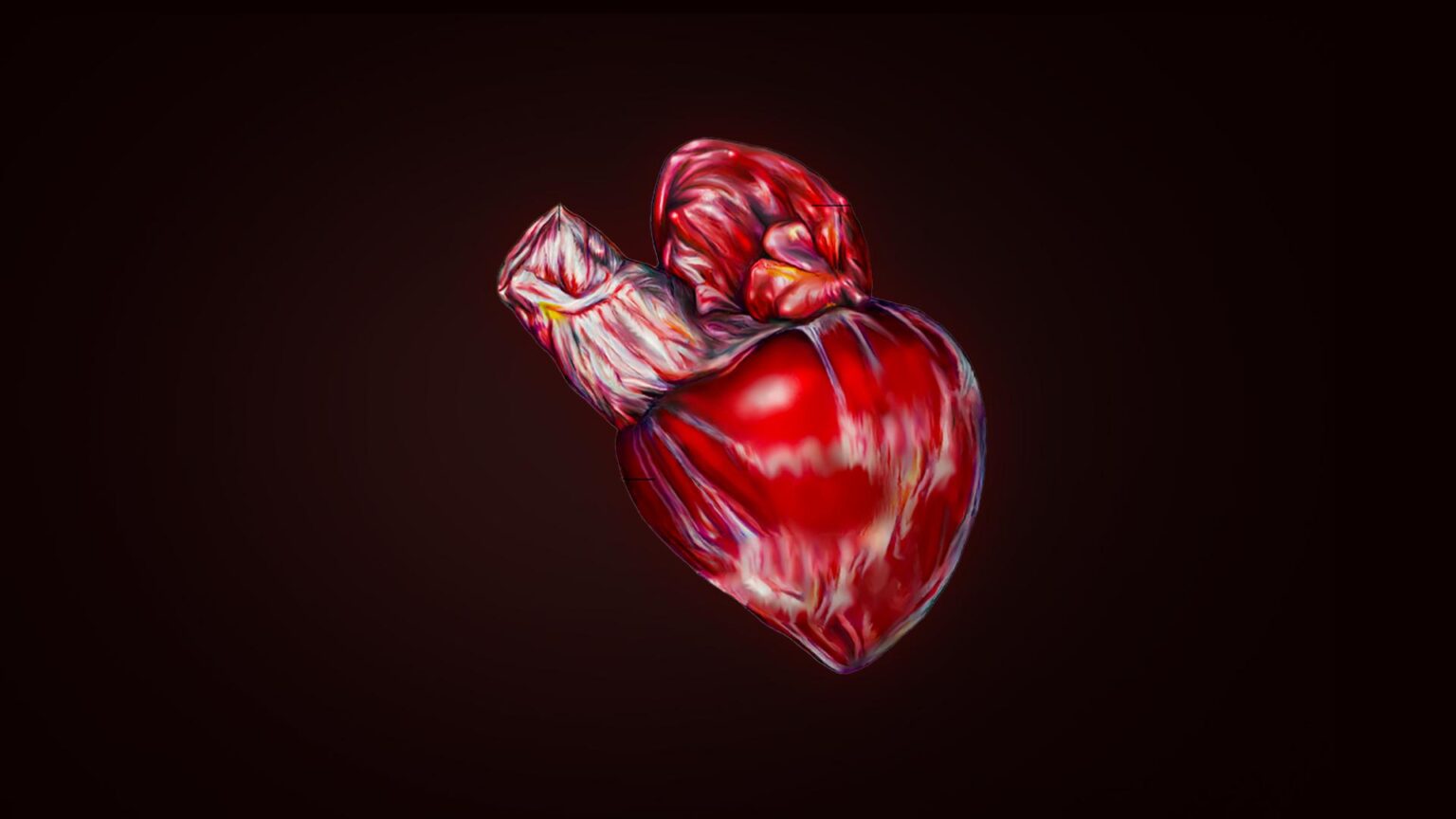 How Shark's Heart is Different From a Human Heart?