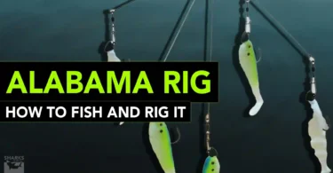 Alabama Rig _ How To Fish And Rig It