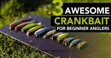 Awesome Crankbaits For Beginner Anglers