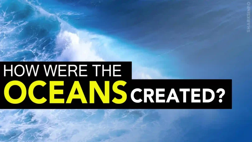 How Were The Oceans Created