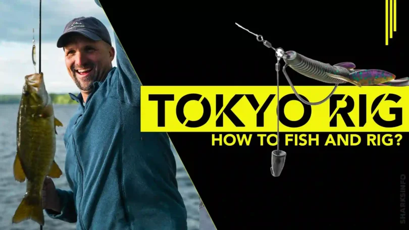 Tokyo Rig – How To Fish And Rig