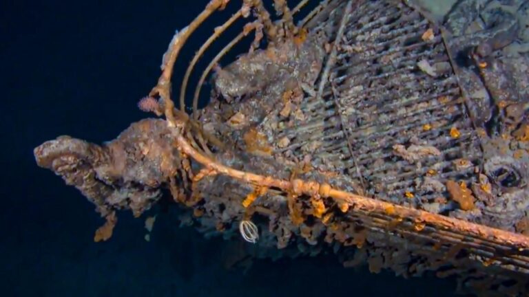 Were There Sharks When the Titanic Sank? – sharksinfo.com