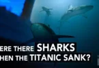 Were There Sharks When the Titanic Sank