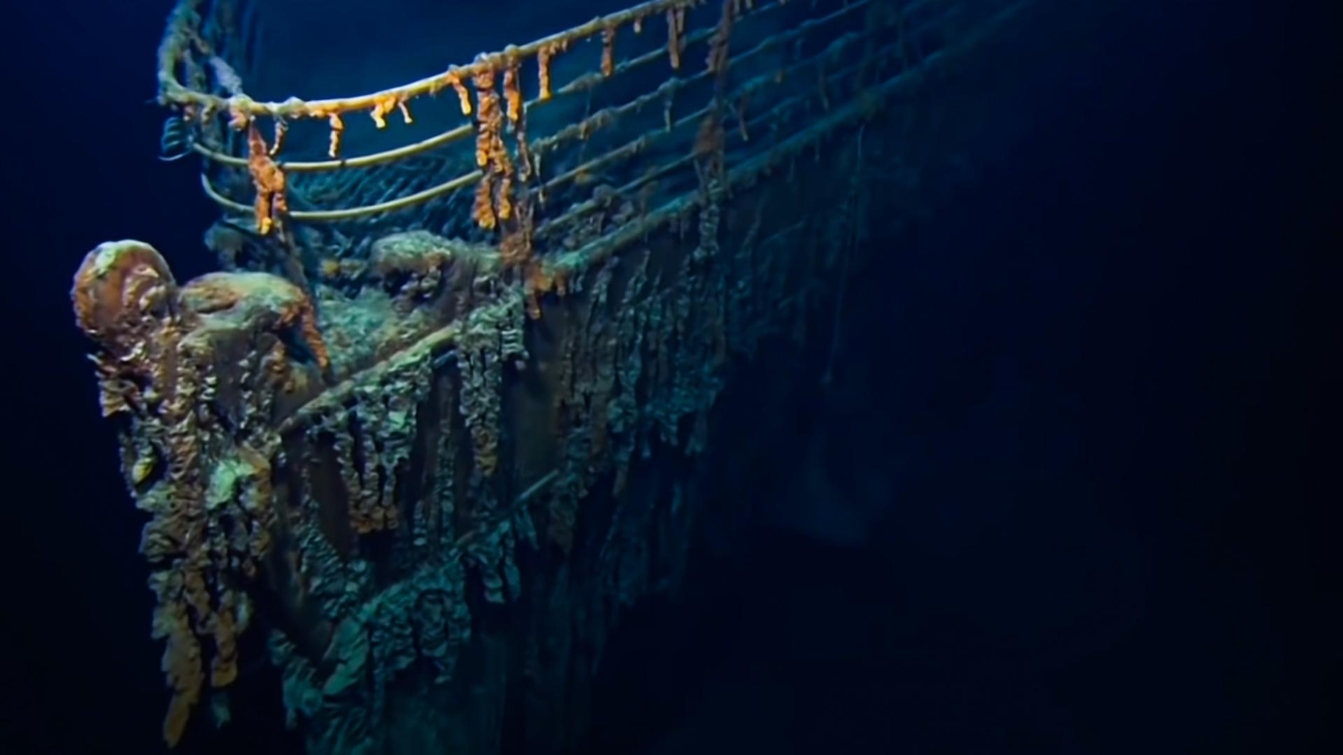 Were There Sharks When the Titanic Sank? – sharksinfo.com