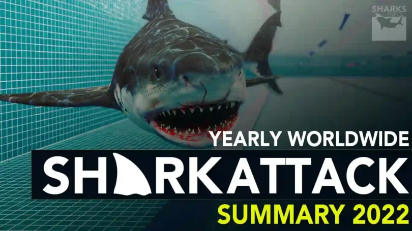 Yearly Worldwide Sharks Attack Summary 2022