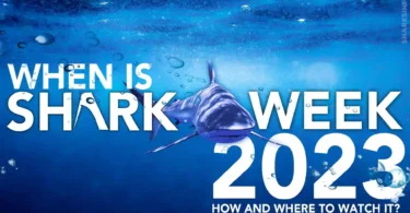 When is Shark Week 2023? How And Where to Watch it?