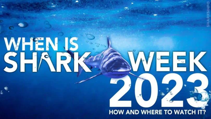 When is Shark Week 2023? How And Where to Watch it?