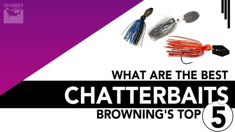 Best Chatterbaits