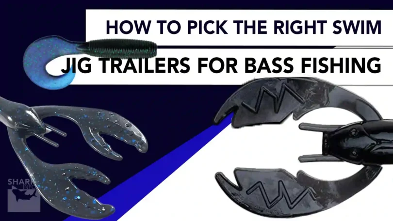 Pick The Right Swim Jig Trailers For Bass Fishing