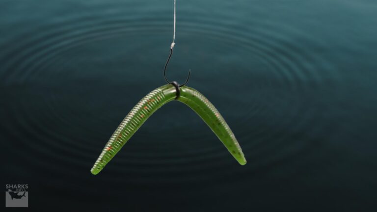 The Neko Rig_ How To Rig Bass Fishing Soft Plastics? – sharksinfo.com