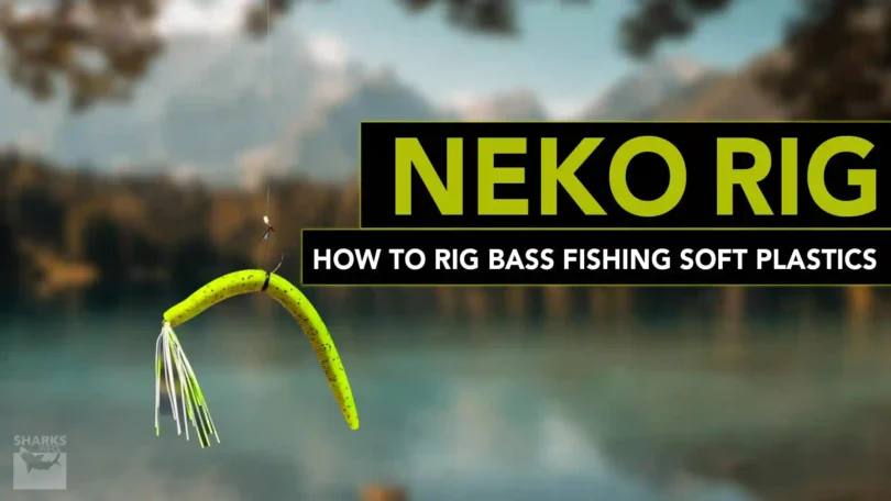 The Neko Rig - How To Rig Bass Fishing Soft Plastics