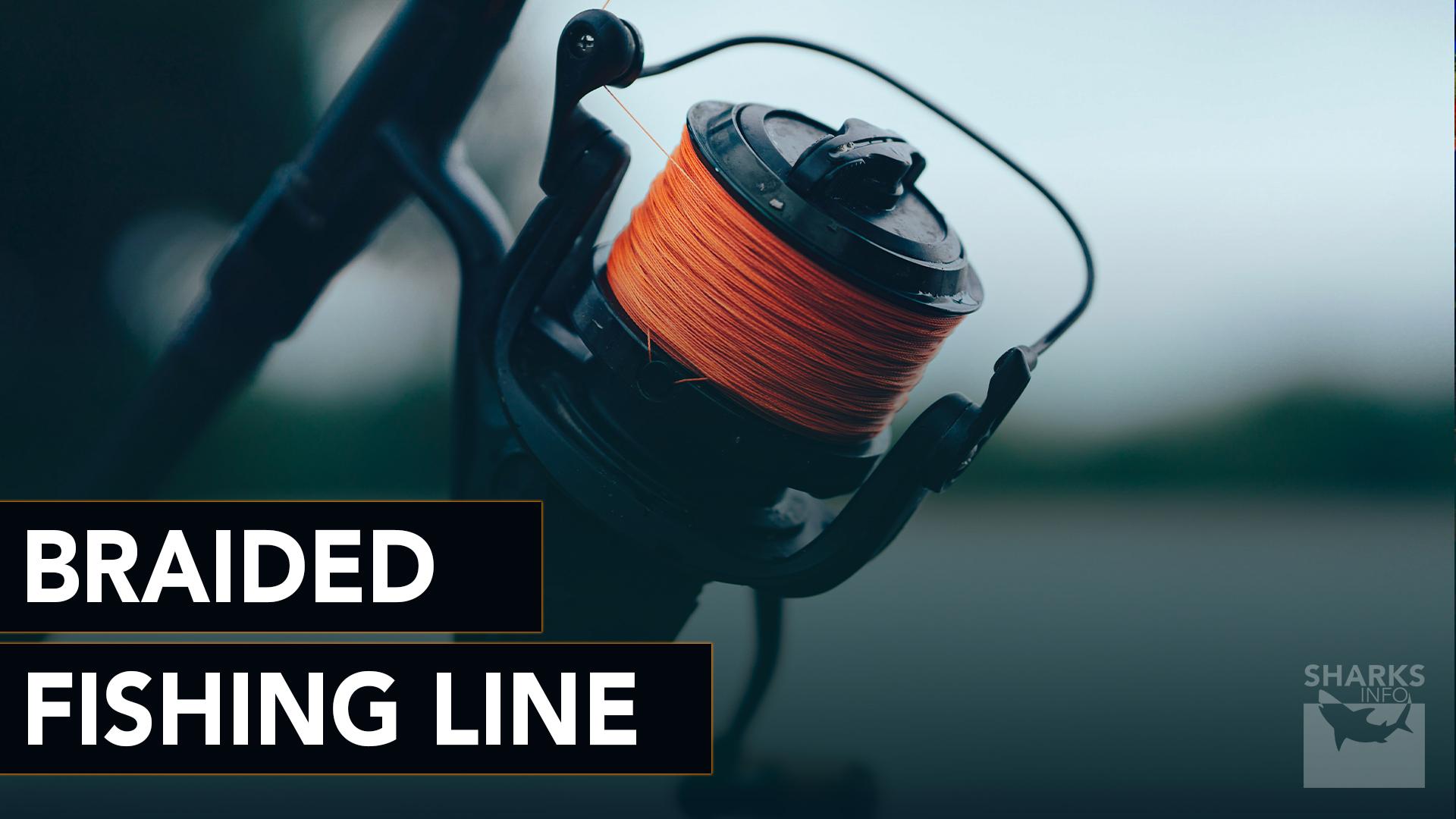 How to Choose the Best Fishing Line For Spinning Reels