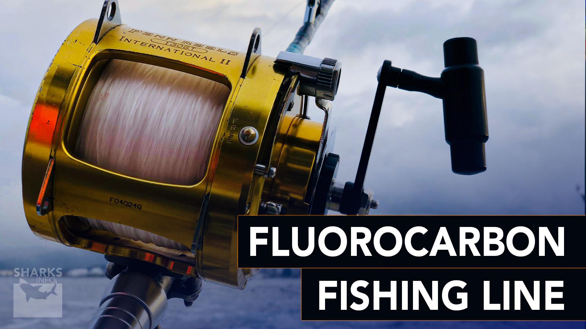 How to Choose the Best Fishing Line For Spinning Reels