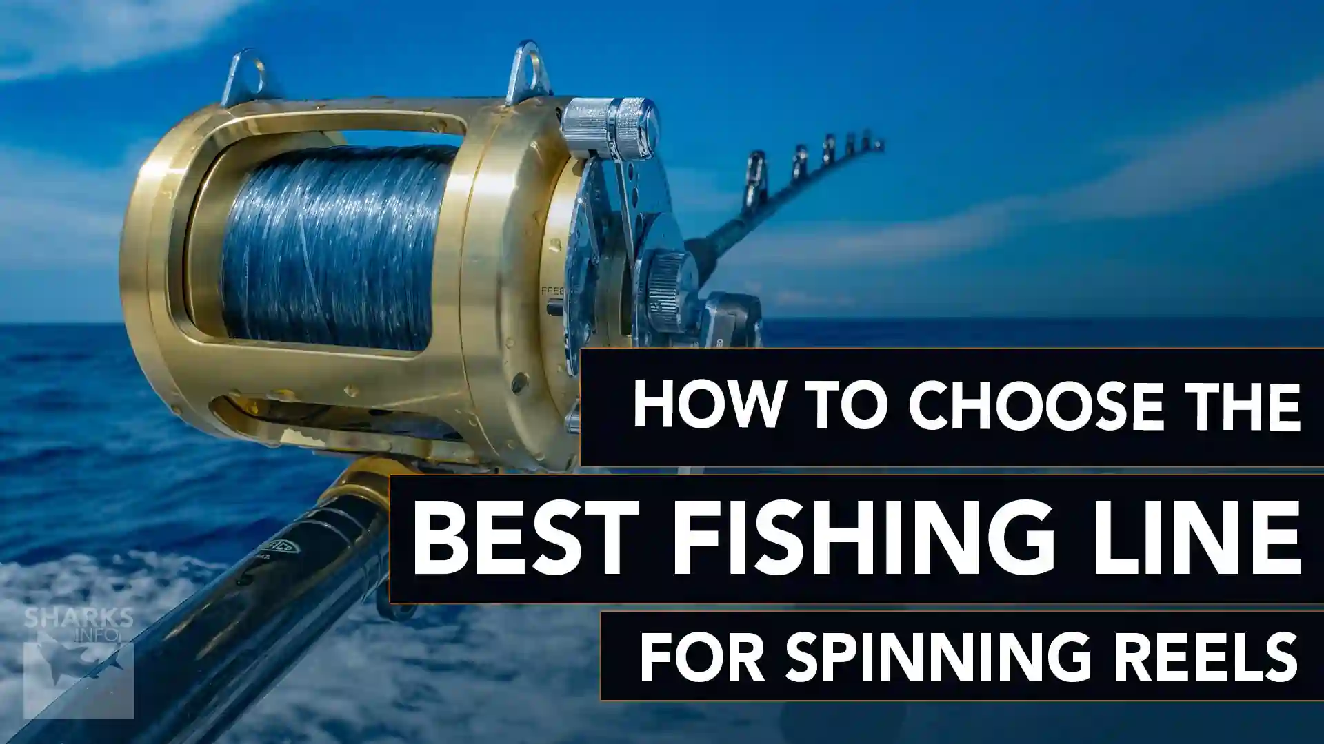 how-to-choose-the-best-fishing-line-for-spinning-reels-sharksinfo