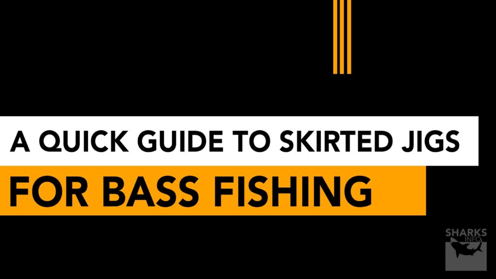 A Quick Guide to Skirted Jigs for Bass Fishing