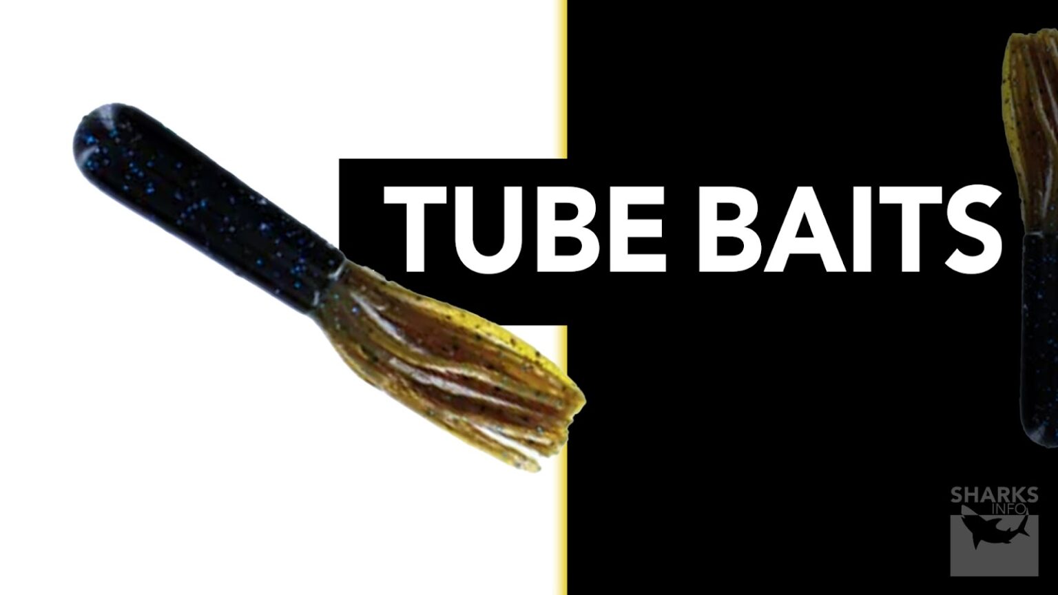 A Guide To Bass Fishing Soft Plastics