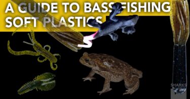 A Guide To Bass Fishing Soft Plastics