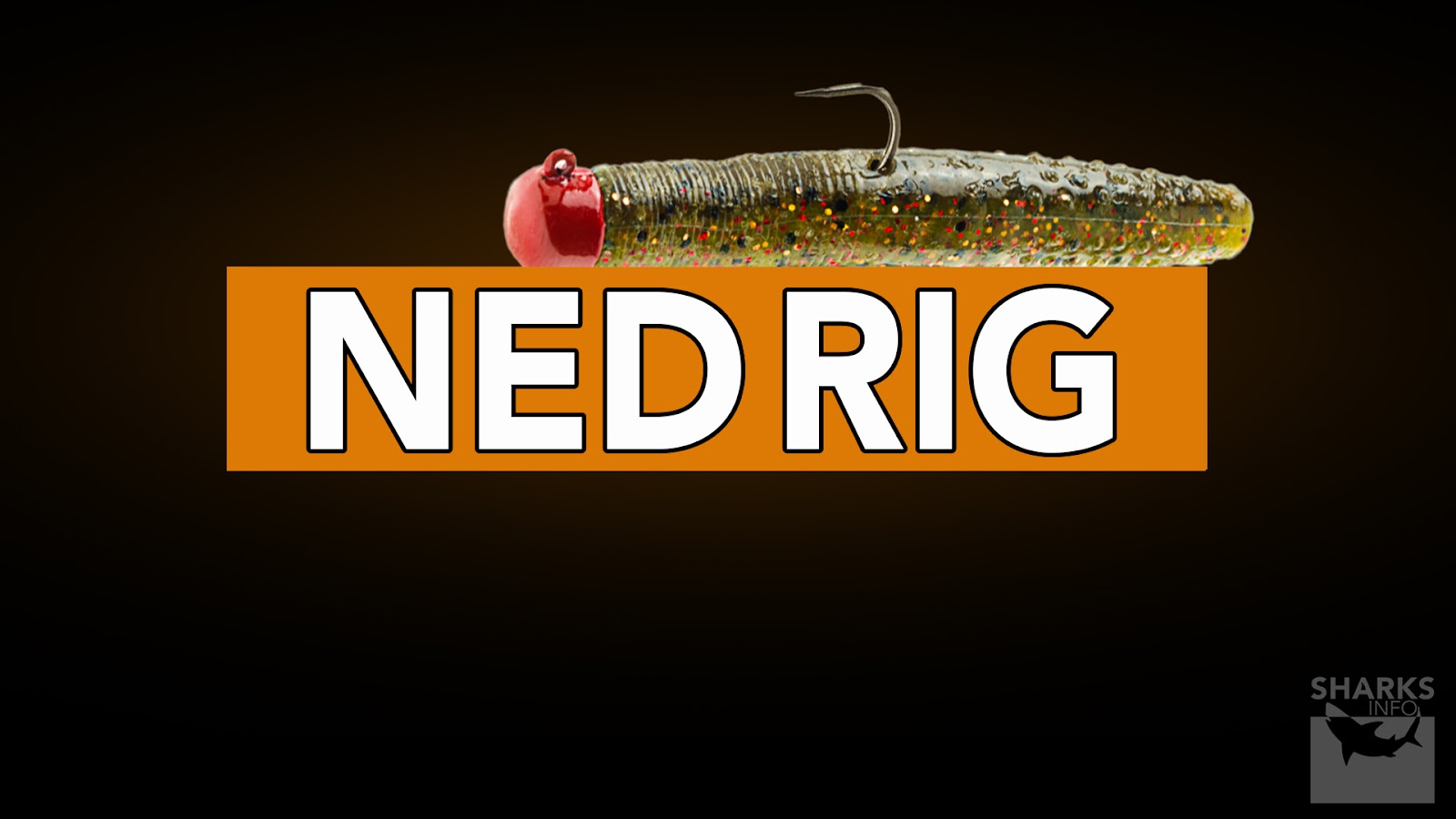 12 Great Ways To Rig A Floating Worm For Bass Fishing