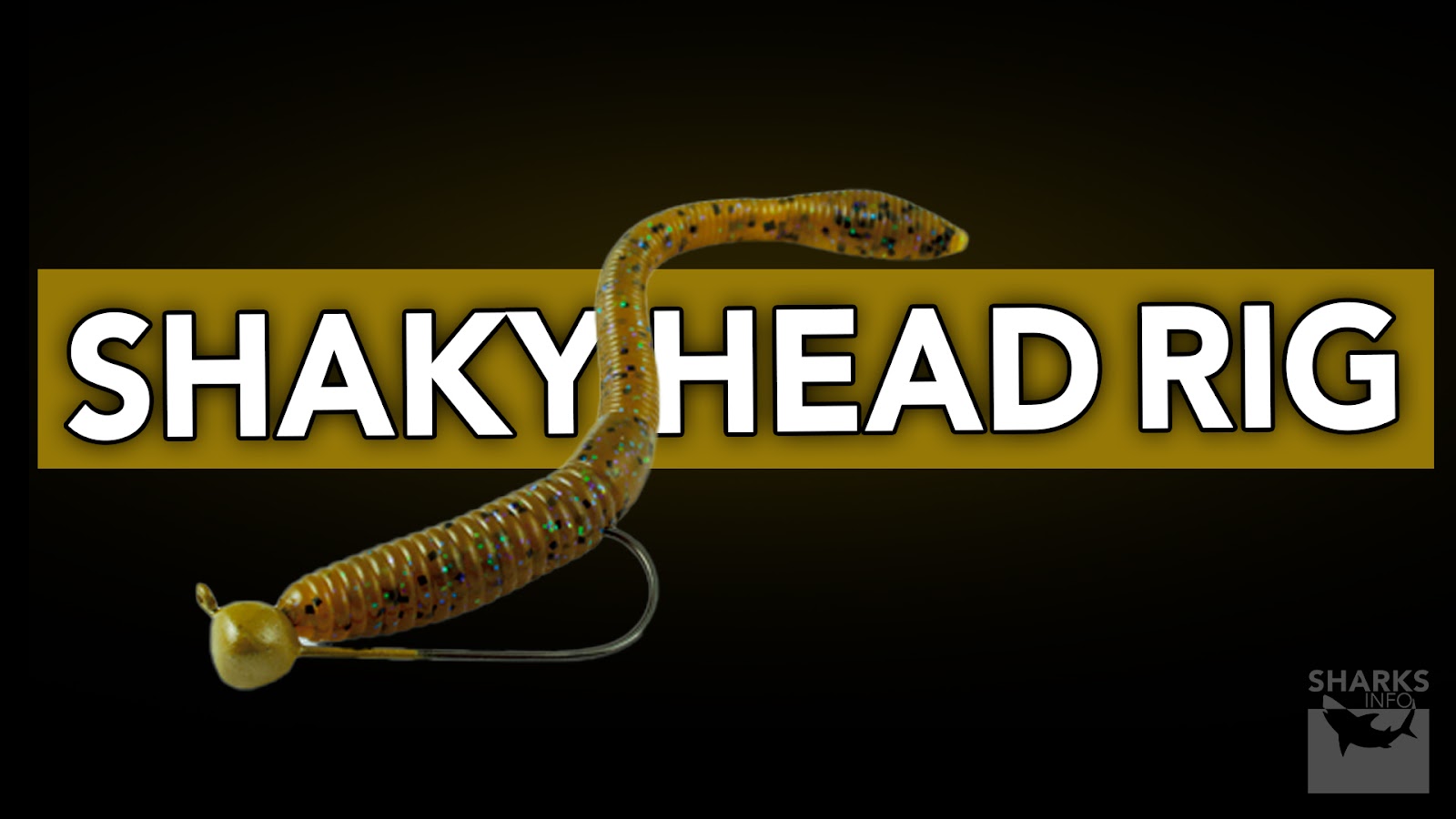 12 Great Ways To Rig A Floating Worm For Bass Fishing