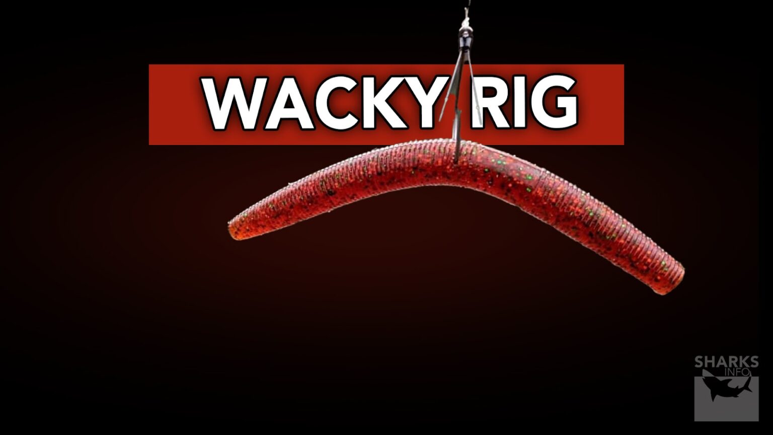 12 Great Ways To Rig A Floating Worm For Bass Fishing