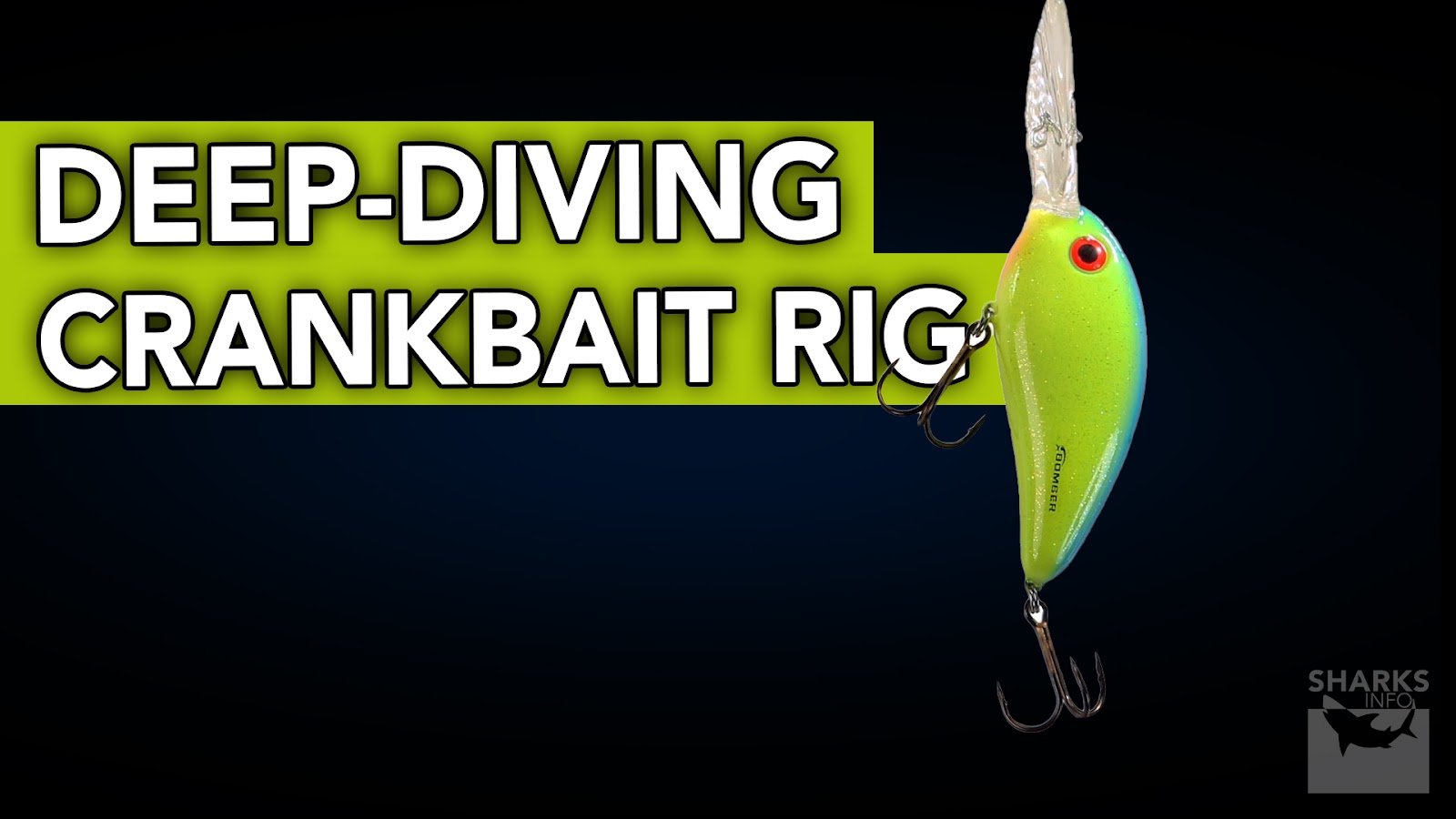 12 Great Ways To Rig A Floating Worm For Bass Fishing