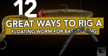12 Great Ways To Rig A Floating Worm For Bass Fishing