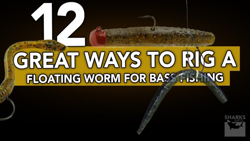 12 Great Ways To Rig A Floating Worm For Bass Fishing