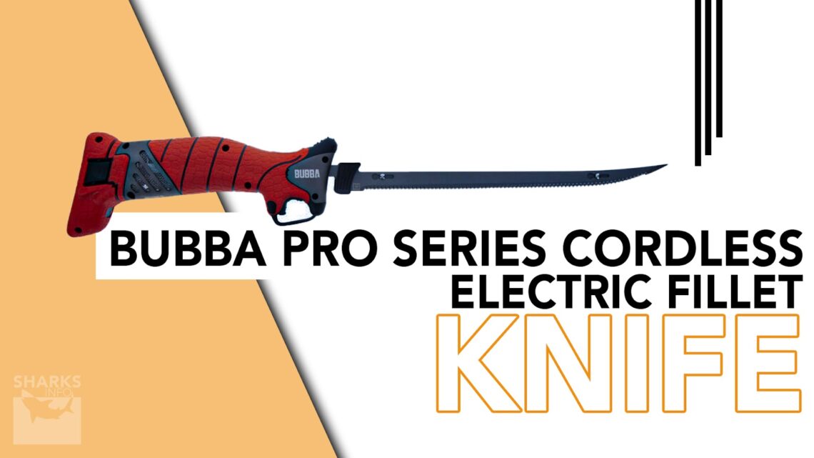 7 Best Electric Fish Fillet Knives