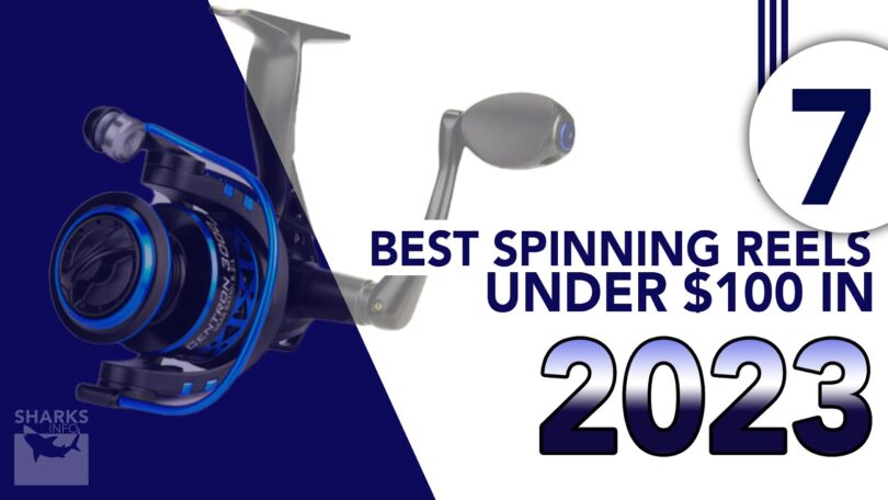 7 Best Spinning Reels Under $100 in 2023