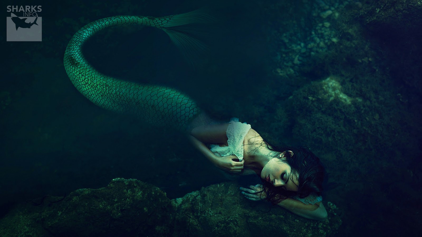 Are Sirens Evil Mermaids Or the Same Mythical Creature? – sharksinfo.com