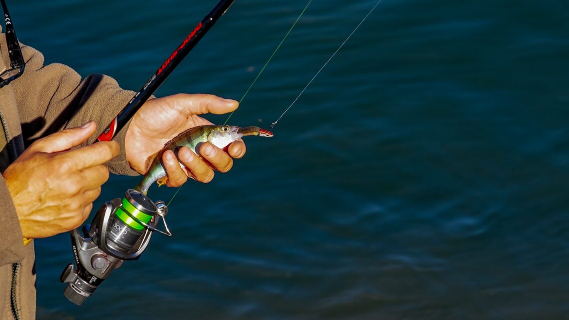 8 Best Fishing Lines For Baitcasting Reels In 2023
