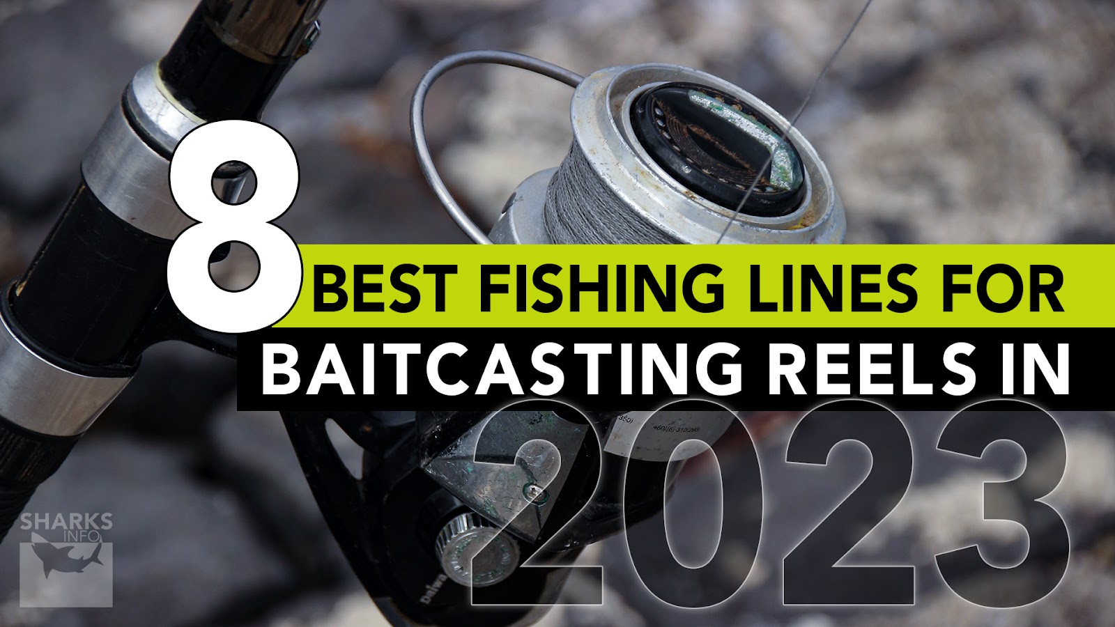 8 Best Fishing Lines For Baitcasting Reels In 2023