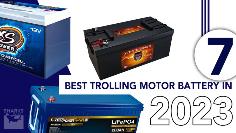 7 Best Trolling Motor Battery In 2023_ Our Top Picks