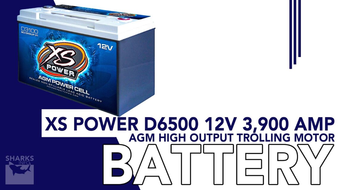Best Trolling Motor Battery Guide