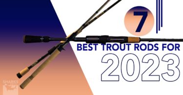 Best Trout Rods