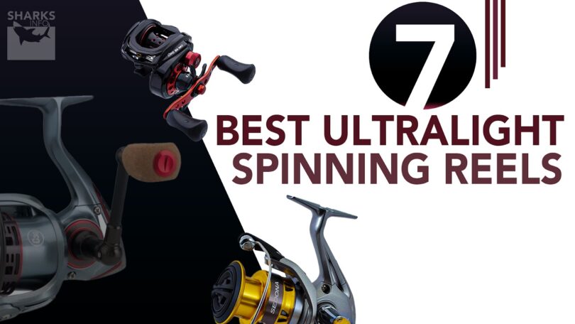 7 Best Ultralight Spinning Reels (Shimano 500, 1000, 2500)