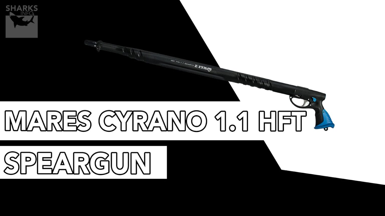 12 Best Spearguns In 2023 (For All Skill Levels)