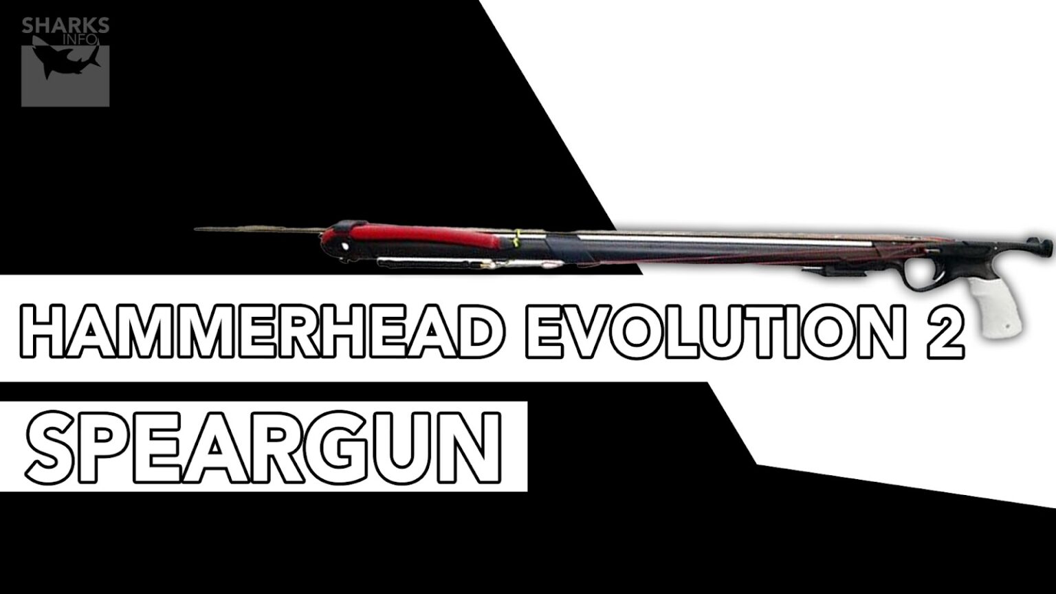 12 Best Spearguns In 2023 (For All Skill Levels)