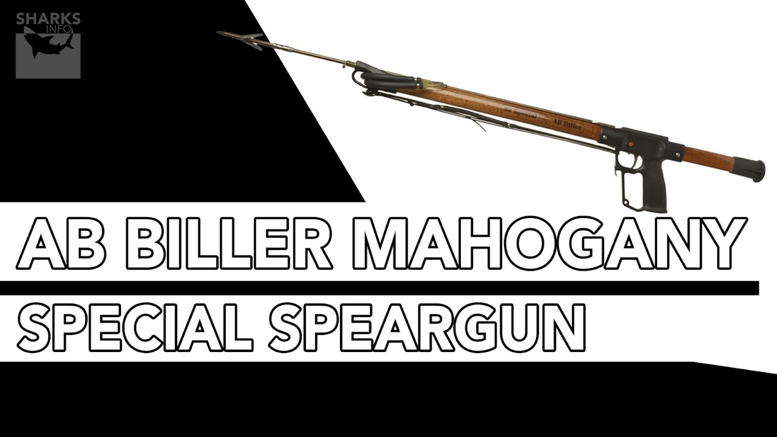 12 Best Spearguns In 2023 (For All Skill Levels)