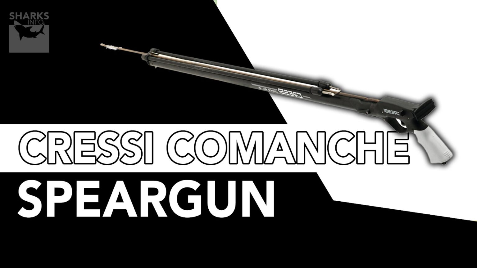 12 Best Spearguns In 2023 (For All Skill Levels)