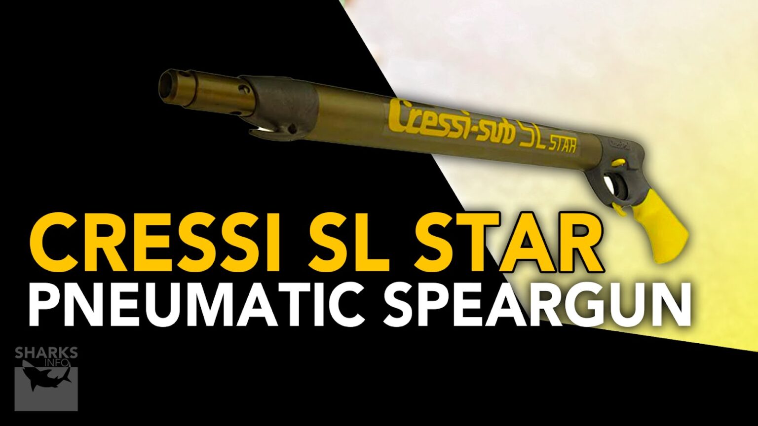 12 Best Spearguns In 2023 (For All Skill Levels)