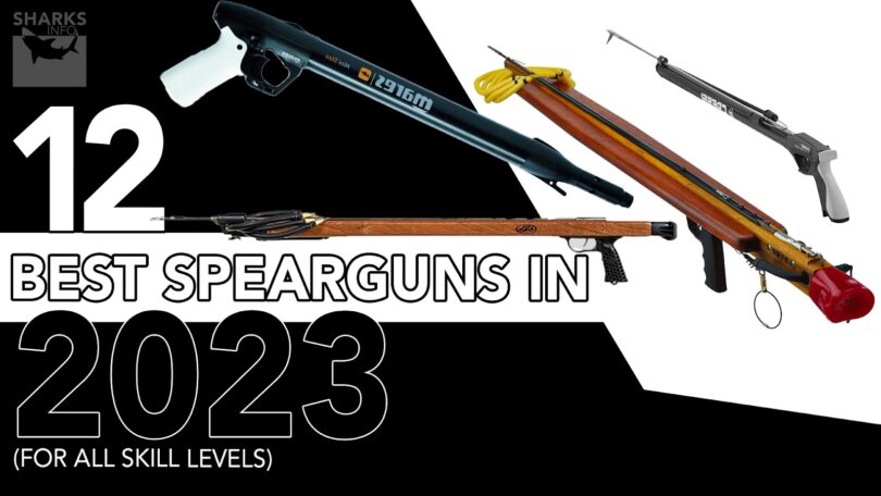 12 Best Spearguns In 2023 (For All Skill Levels)