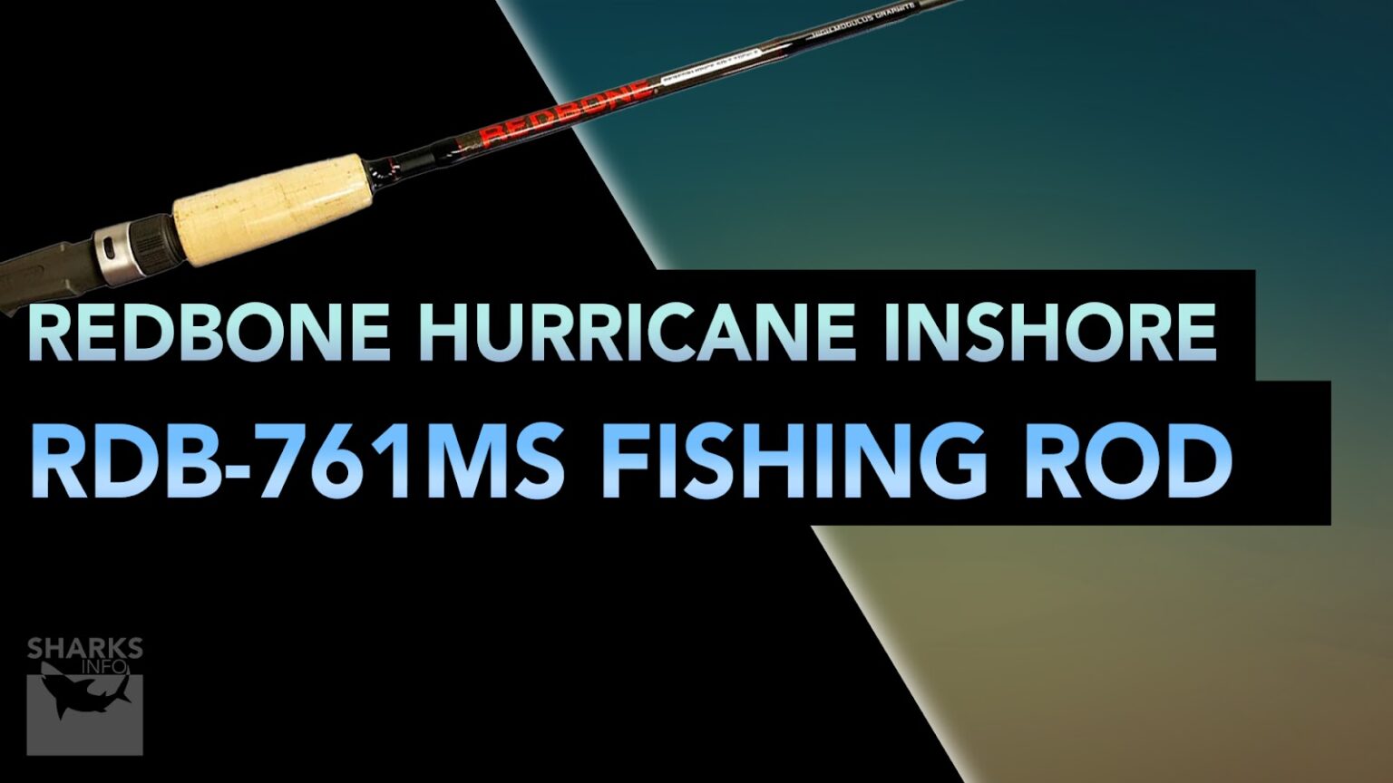 Best Saltwater Fishing Rods in 2023 – sharksinfo.com