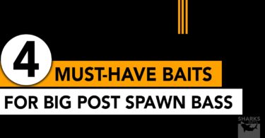 4 Must-Have Baits For Big Post Spawn Bass