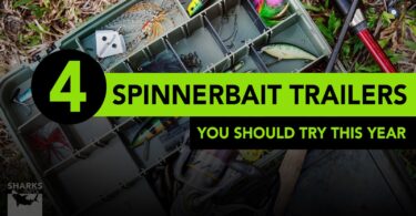 Spinnerbait Trailers You Should Try This Year