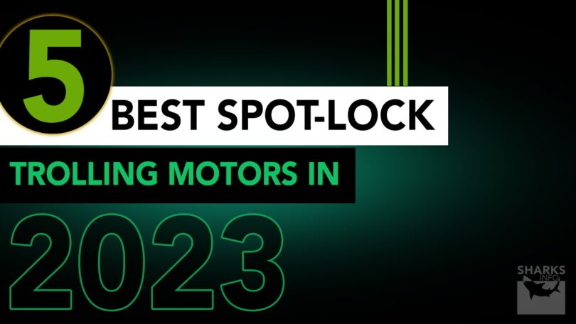 5 Best Spot-Lock Trolling Motors In 2023