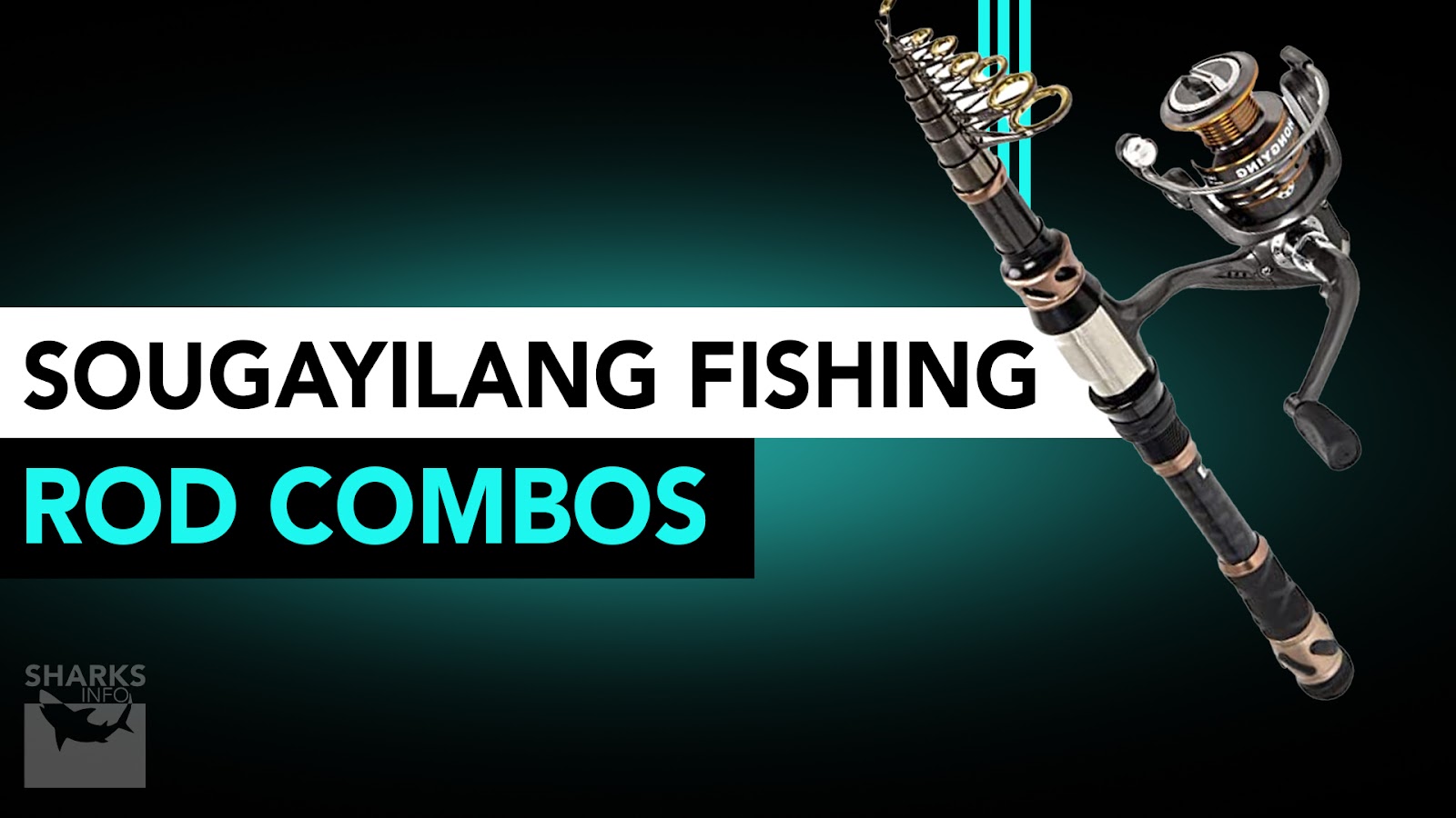 Best Telescopic Fishing Rods Buying Guide Sharksinfo Com